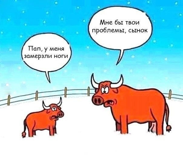 Нестандартный юмор