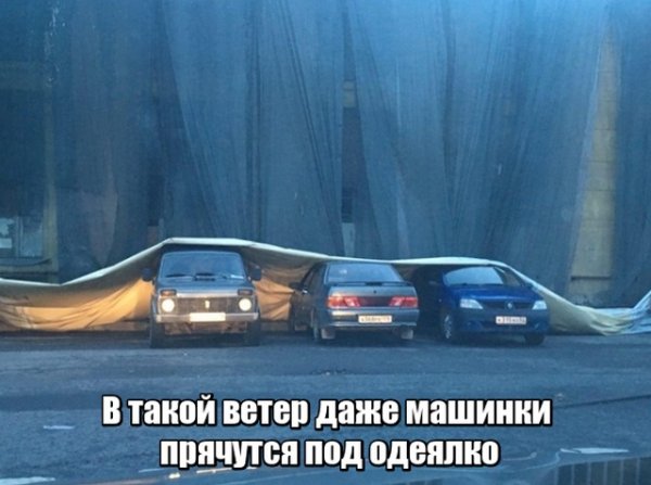 Нестандартный юмор