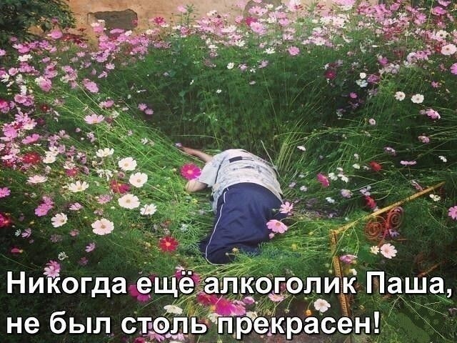Картинки с надписями и коментами
