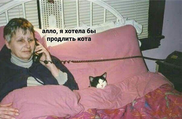 Немного картинок для настроения 17.07.20