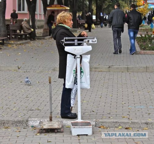 Весы