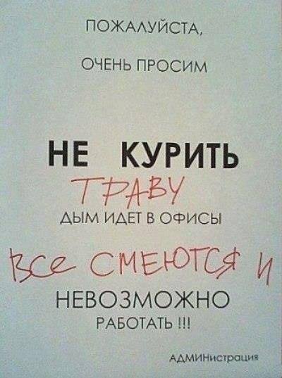 Прикольные и просто красивые картинки 12.11.2020