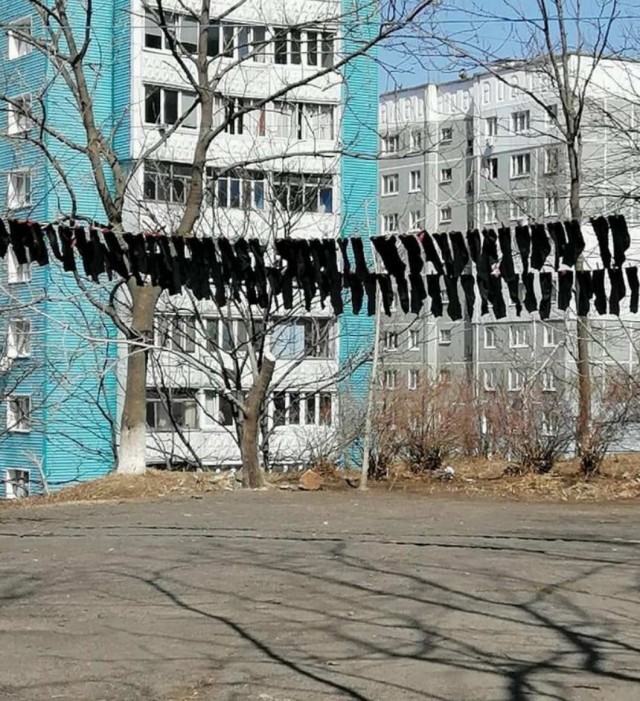 Скотсети и прочие интернеты 15.04.2021