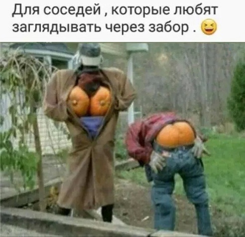 Кретинизмы из сети 29.08.2021