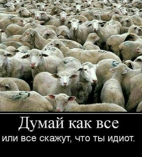 Помощник дежурного в ФСБ по Новосибирской области принимает жалобу на полосы от самолетов в небе