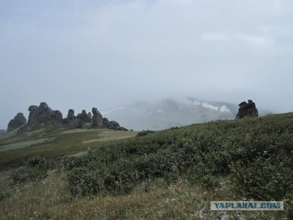 Алтайские красоты