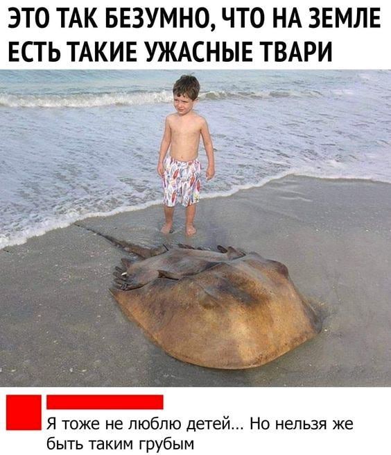 Так себе картинки 31.03.22