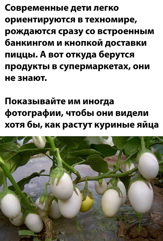 16720660.jpg