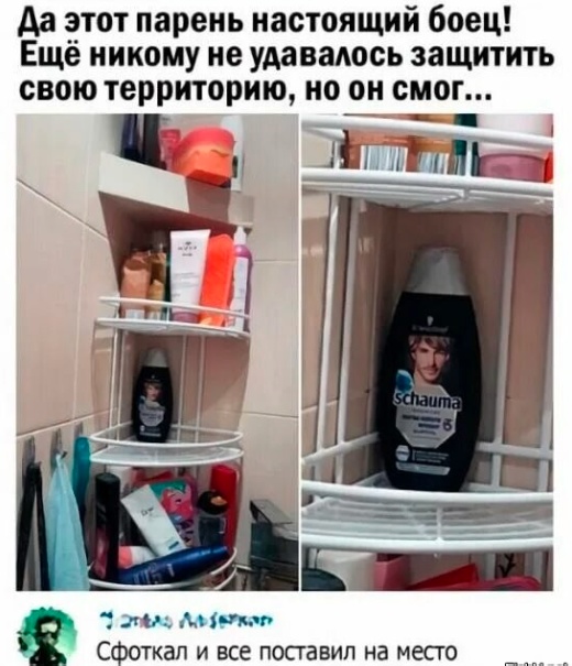 Картинки и мемы из Сети 24.07.22