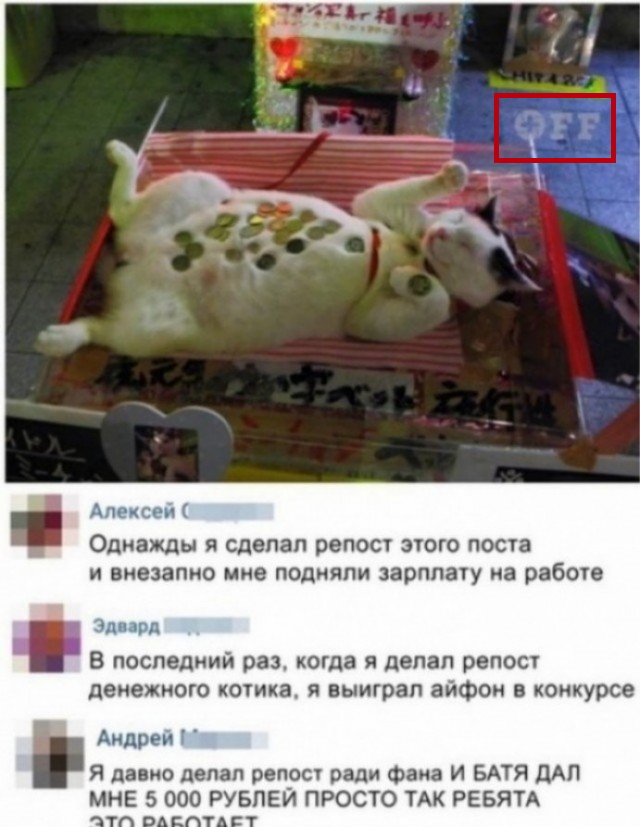 Скриншоты и комментарии из социальных сетей 10.12.22