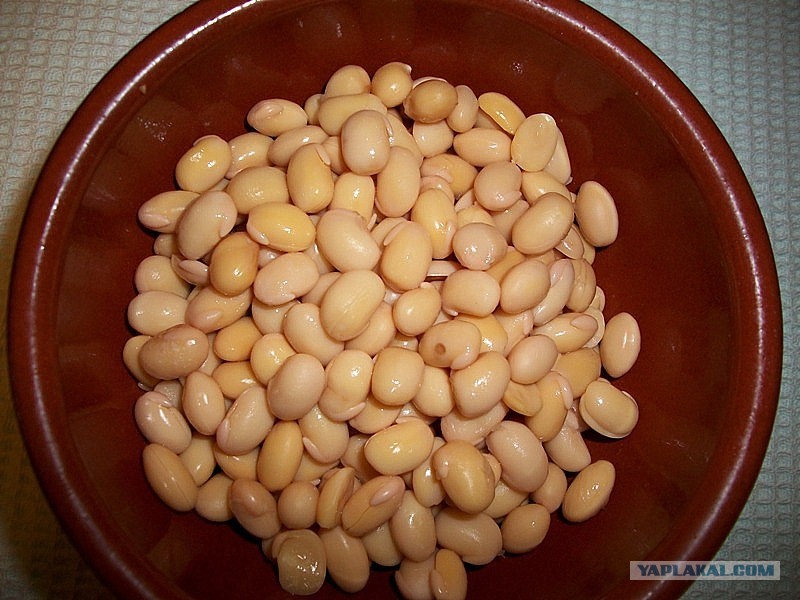 Острая соя. Сорт сои альтона. Острые китайские снеки. Острая соя. Соя культурная (glycine hispida).