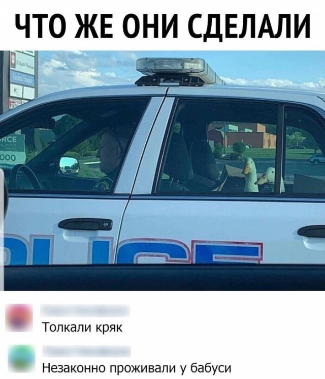 Всего понемногу. От 02.10.23