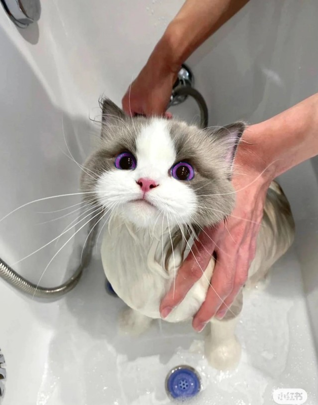 Необычный цвет глаз