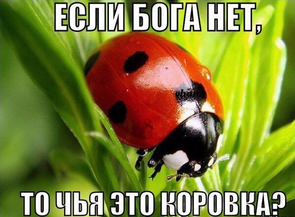 Картинки неразобранные