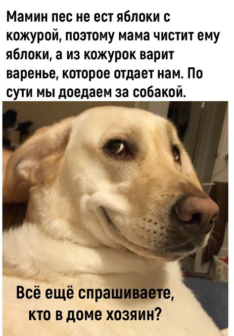 Так себе картинки 27.11.24