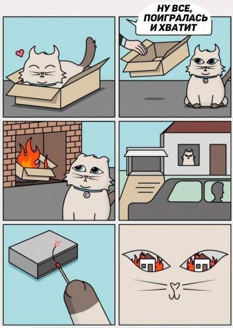 К котовторнику: подборка картинок-баянов с котиками и про котиков. Выпуск 5