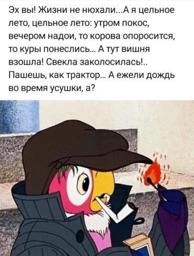 Про подсчитывающих потери фермеров, и убитый урожай. Мысли вслух