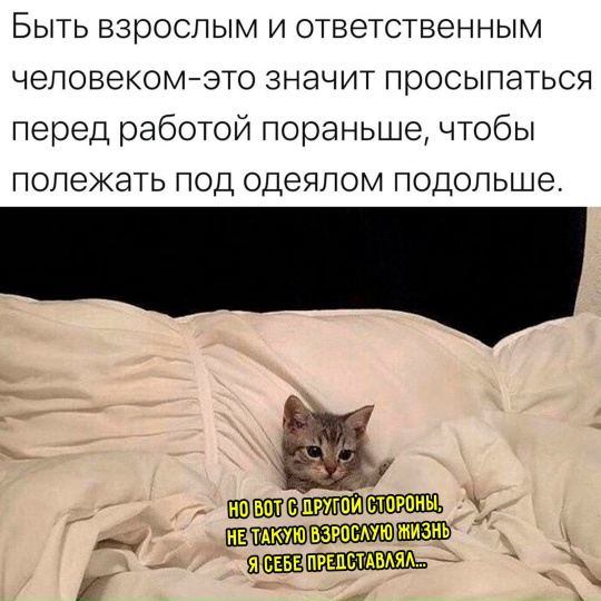 Подборка картинок-баянов с котиками и про котиков. Выпуск 21