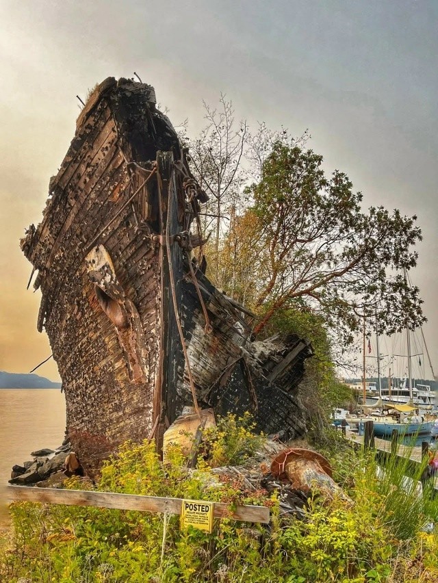 Старая шхуна