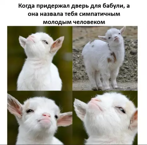 Картиночки, баянчики 21 февраля