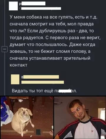 Картиночки, баянчики 06 марта