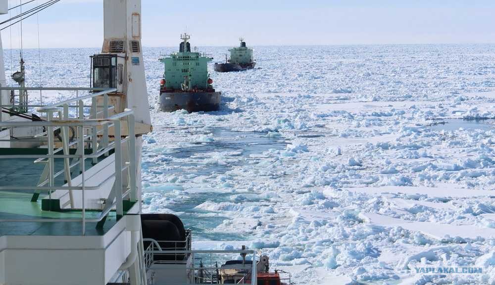 специализация арктического морского бассейна