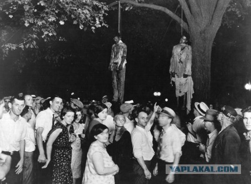 Новая игра в США-"Выруби белого"