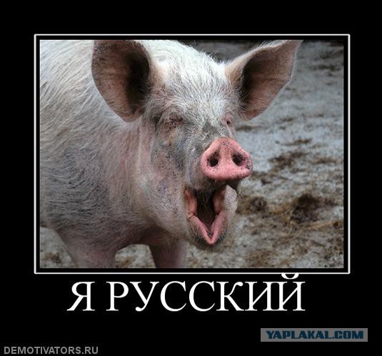 РУКИ МЫЛ?