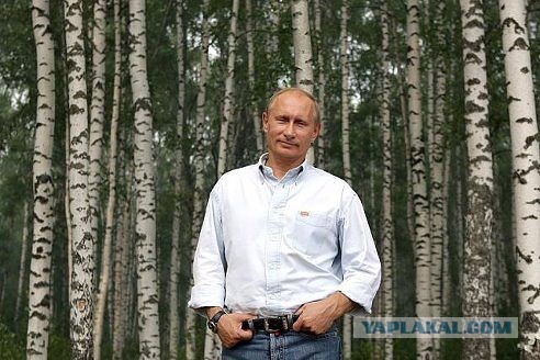 Путин подписал указ об ответных санкциях