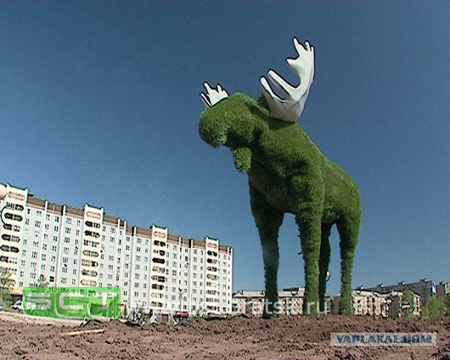 Добряки, плюсующие всех подряд
