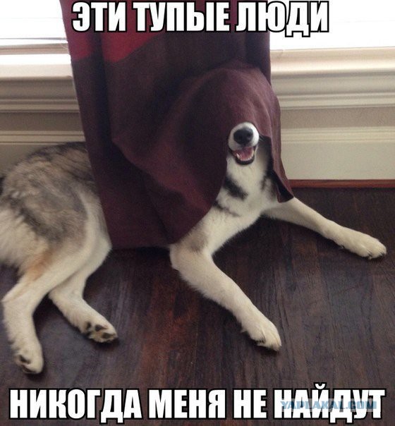10 историй о людях, которые загадочно исчезли