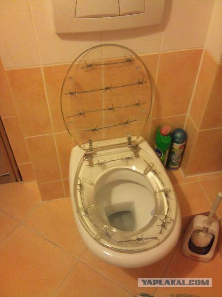 Прикольные картинки из сети