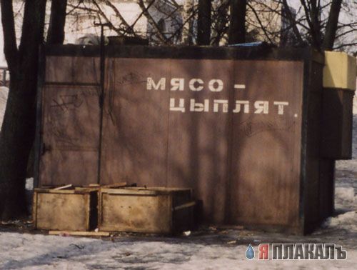 ВЫВЕСКИ, ТАБЛИЧКИ. Смешные и прикольные