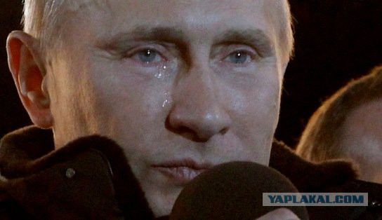 Сложный выбор: Игрушка мечты или подарок родителей?