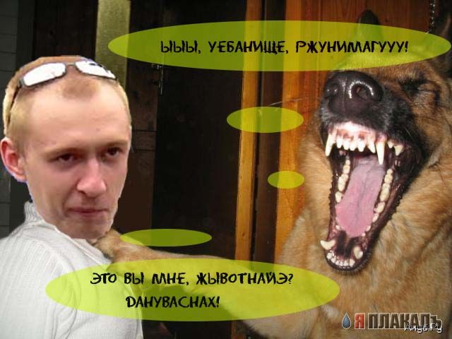 Жаба про гопника