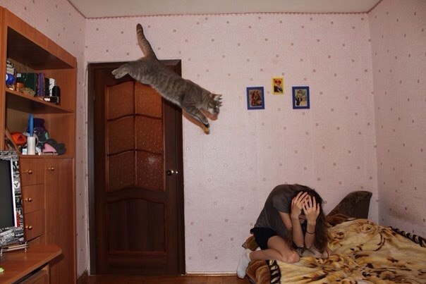 Подборка картинок 19.02.16