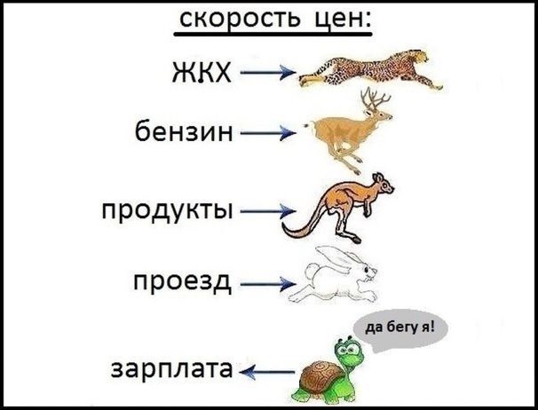 Картинки разные