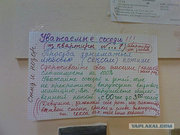 Подборка интересных и веселых картинок