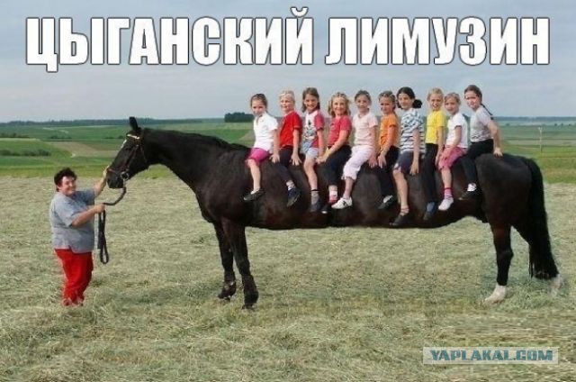 Так жить нельзя: самая шикарная комната в Петербурге