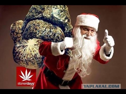 Переволновалась, Муму оппозиционерки