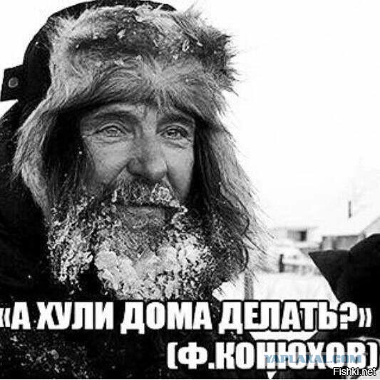 Конь,  картошка,  лопата,  грядки