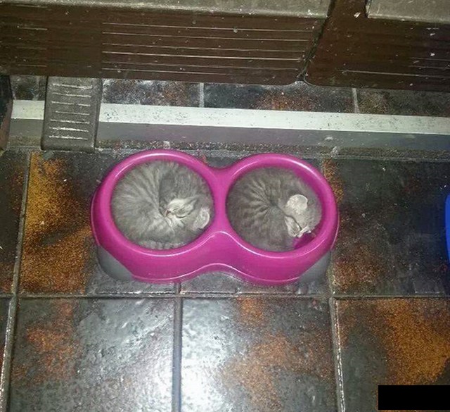 Фотографии, на которых простые вещи совпали друг с другом как инь и ян