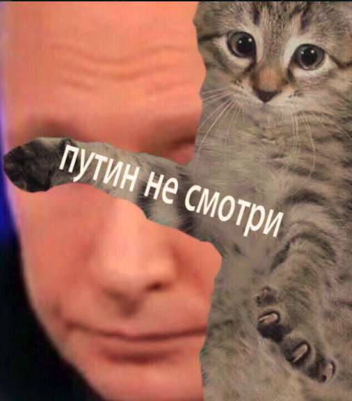 В сети комментируют заявление Путина о готовности России оплатить "Северный поток -2":" Может хватит унижать Великую страну?!"