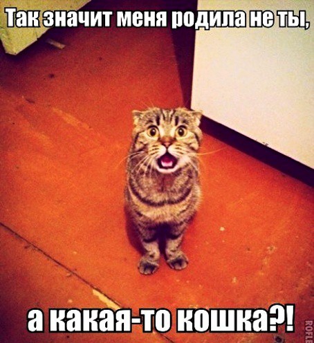 Немного картинок в эту субботу