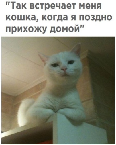 Чуток картинок! 26.12.19