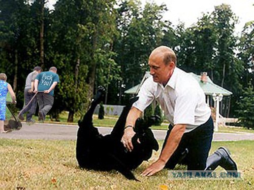 А вы сажали картошку?