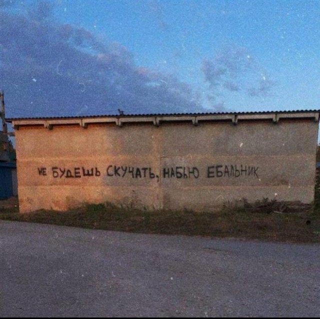 Фотки и картинки: юморные и красивые, забавные и милые 16.11.20