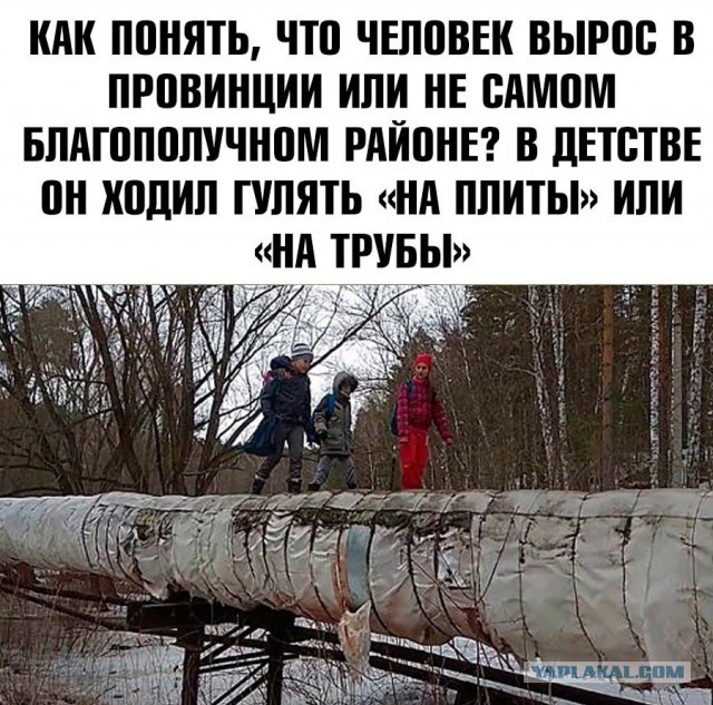Весёлый полтишок 5.04