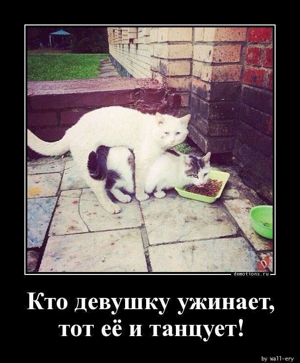 Мужчина всегда должен оставаться мужчиной!