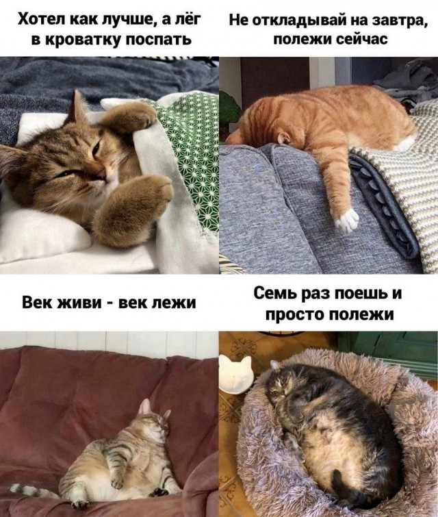 Картинки и мемы для настроения 13.09.2021